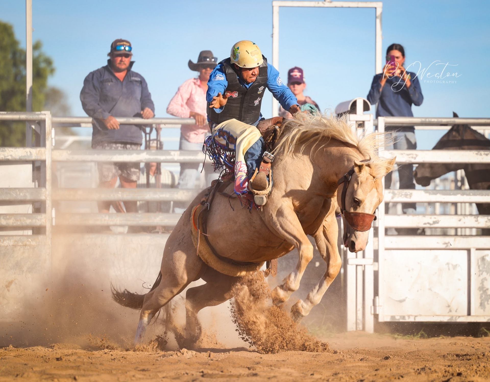 Bronc Riding School
